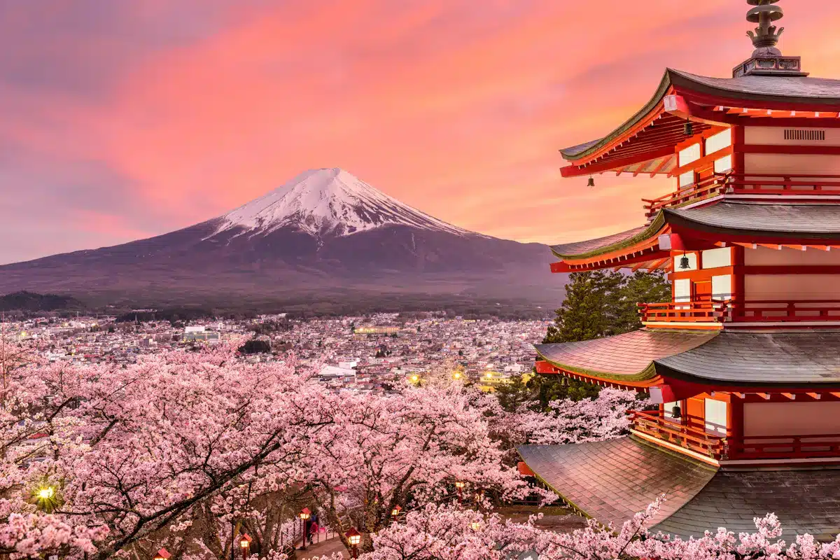 Cherry Blossoms in Tokyo: The Ultimate Viewing Guide - Trip To Japan