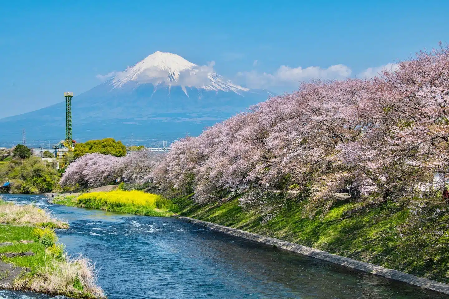 潤井川龍巖淵:櫻花與茶田秘境