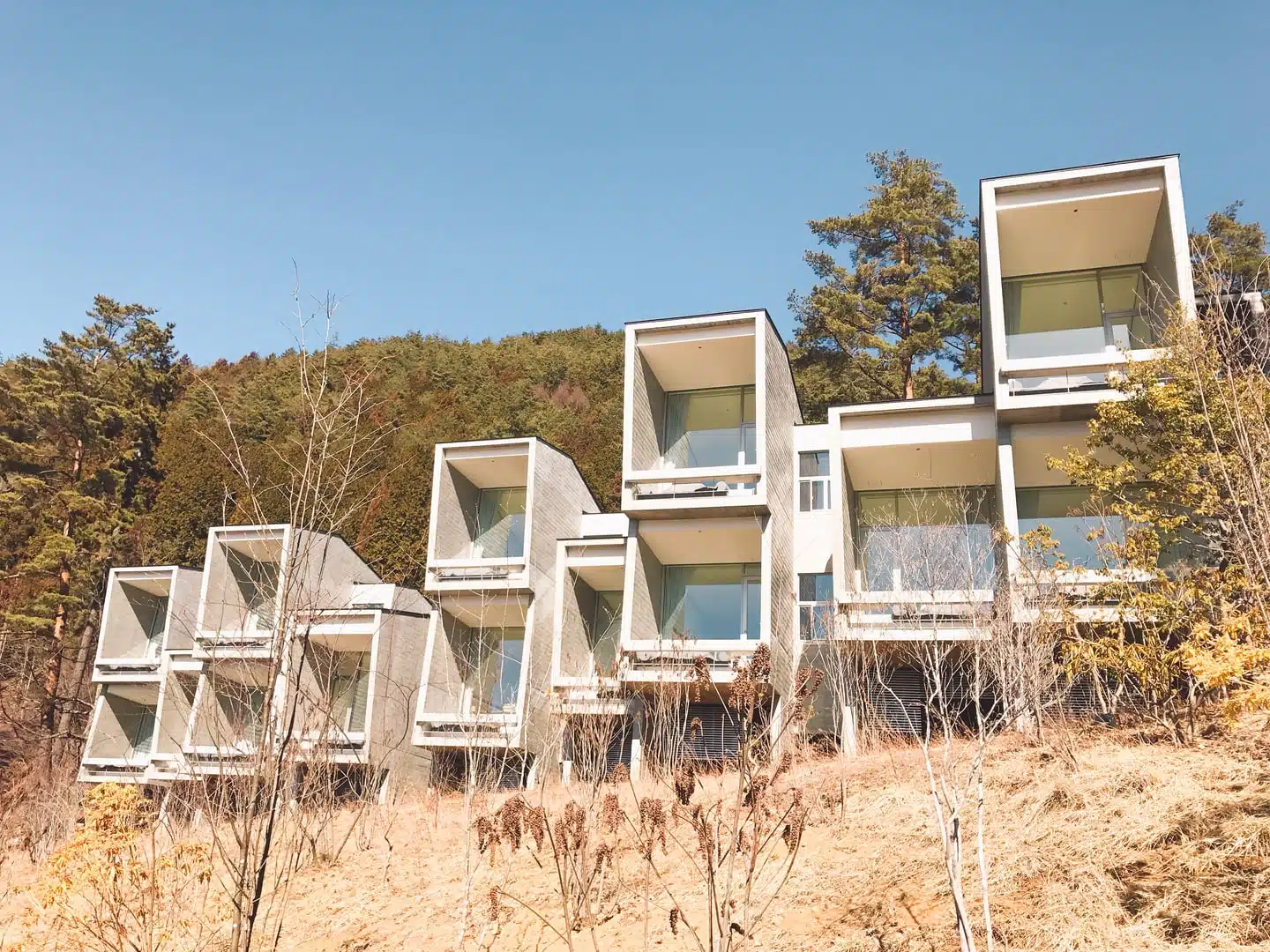 虹夕諾雅富士 (Hoshino Resorts Hoshinoya Fuji)