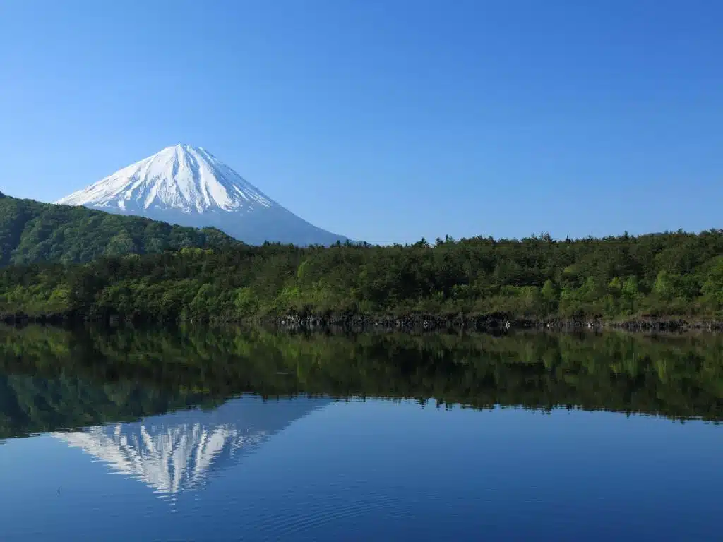 河口湖站前富士山景觀飯店 (Hotel Mystays Fuji Onsen Resort)