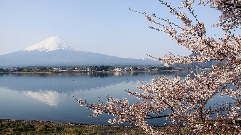 Lake Kawaguchiko - Fuji Five Lakes Travel