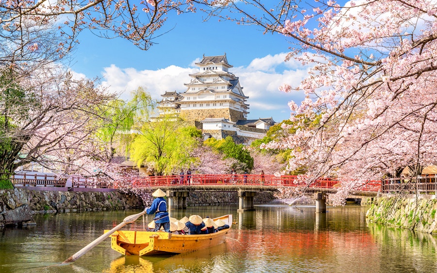 大阪城公園櫻花套票