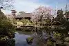 Sensō-ji Denboin Garden