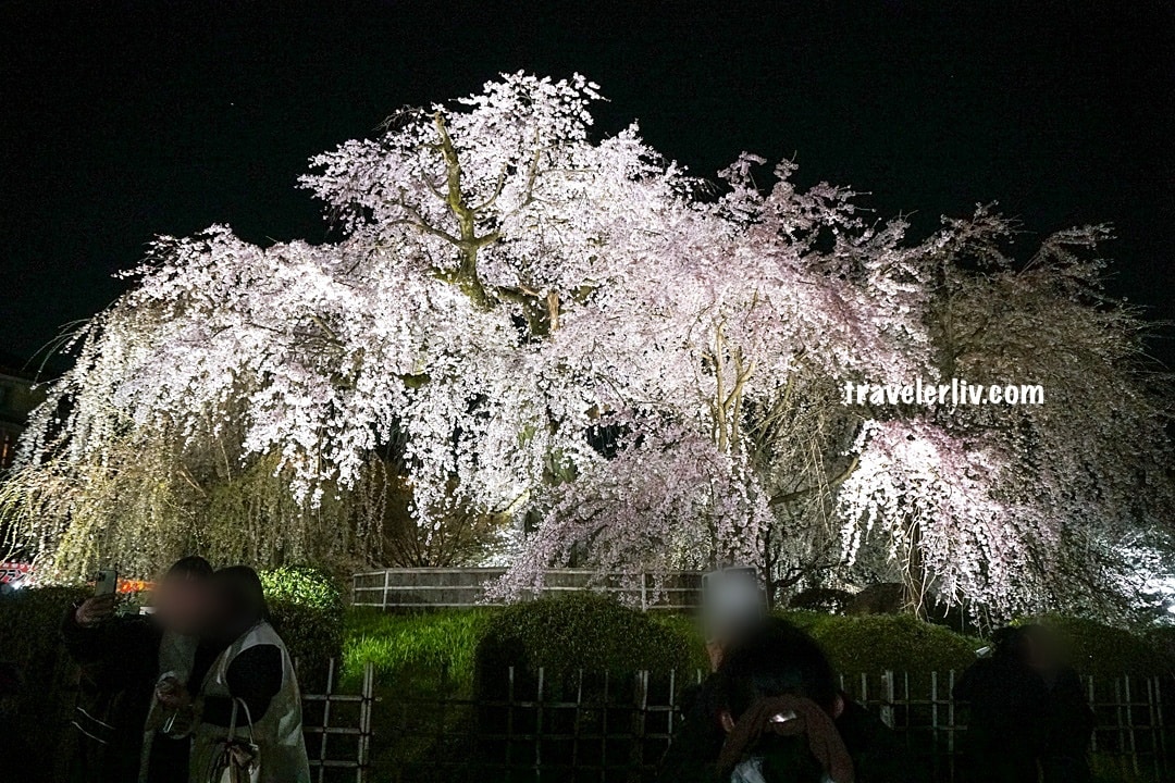 圓山公園