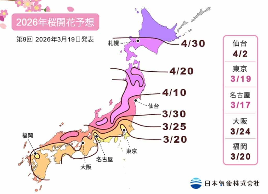 京都櫻花2026開花預測