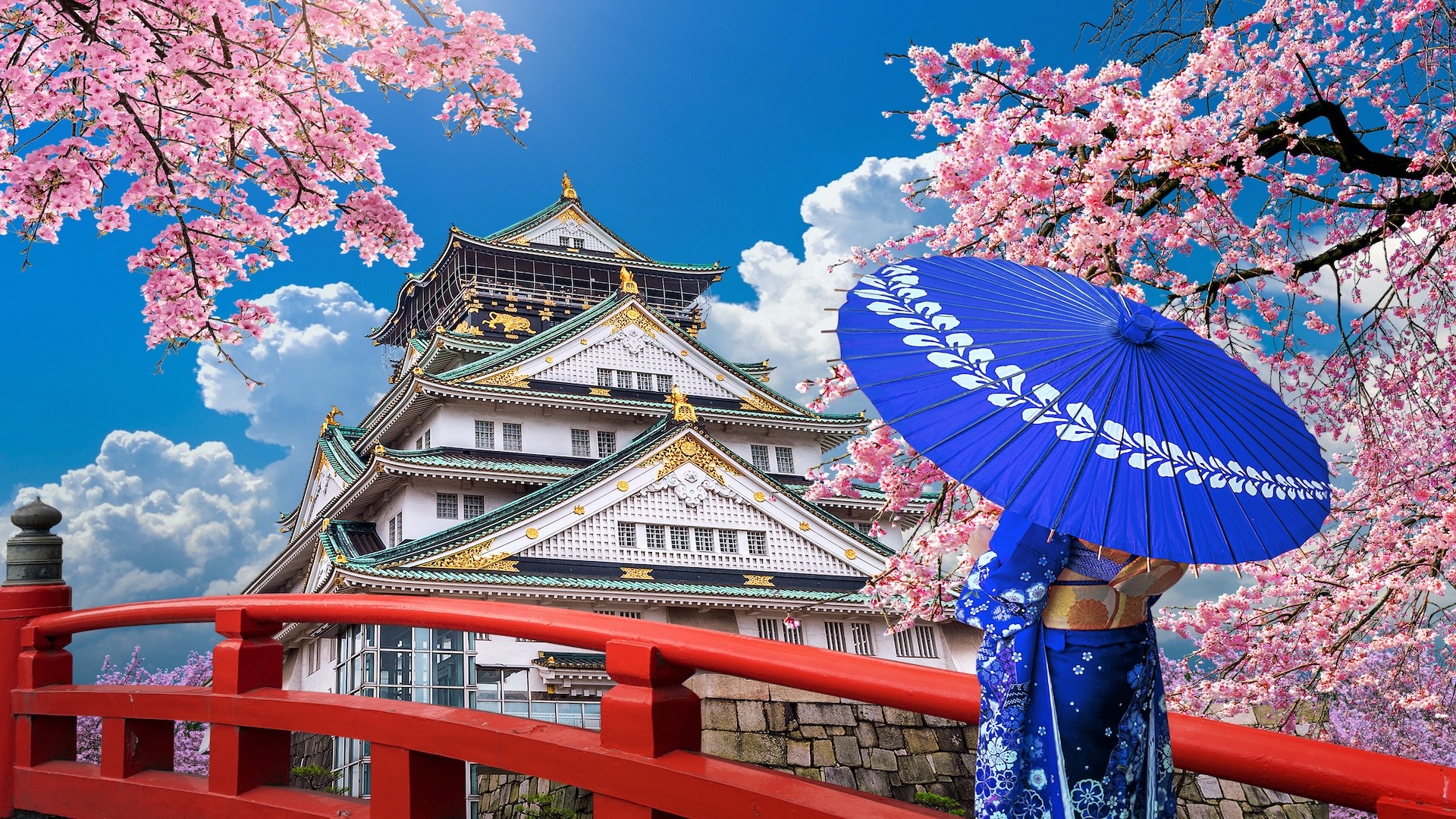 Discovering Osaka's Cherry Blossoms: The Ultimate Travel Guide to Hanami in the Heart of Japan » Agoda: See The World For Less
