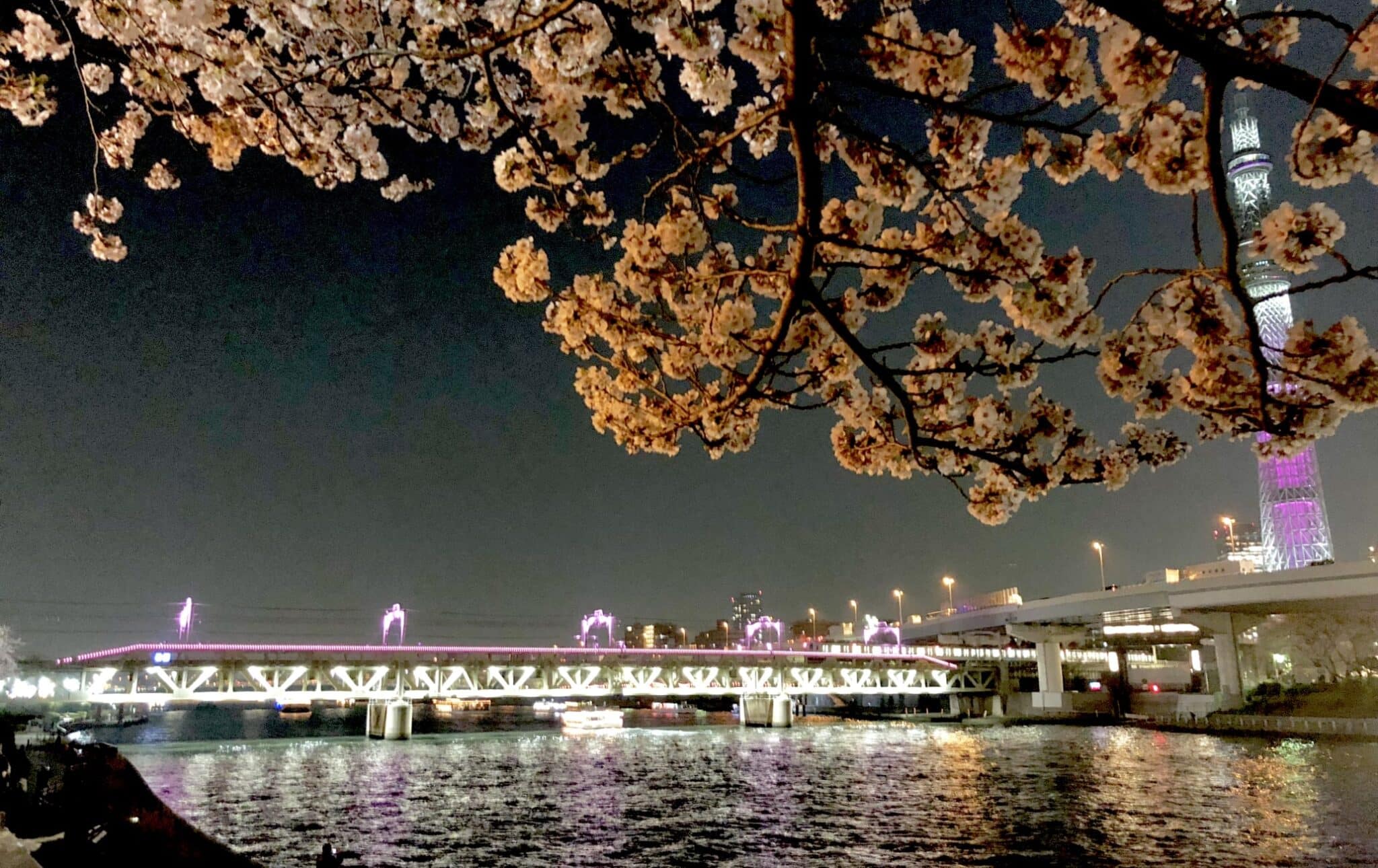隅田公園