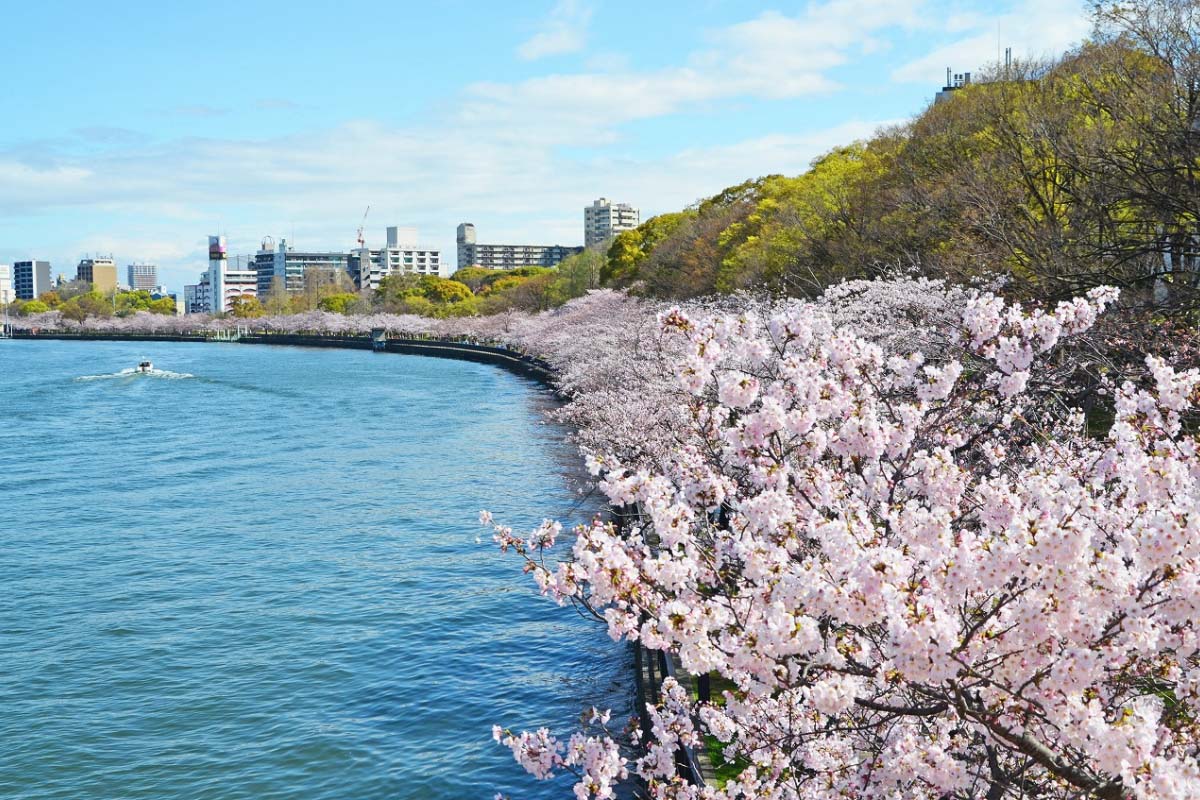 毛馬櫻之宮公園