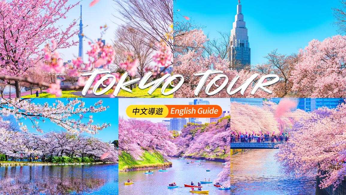 【櫻花季限定】東京賞櫻一日遊|新宿御苑・千鳥之淵・上野恩賜公園・隅田公園・目黑川 一次盡覽
