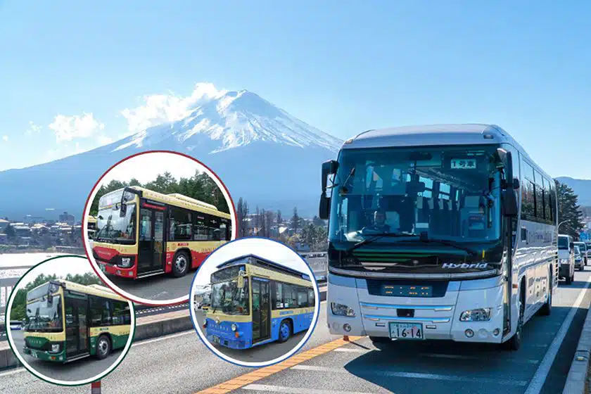 河口湖當地交通:周遊巴士與租車