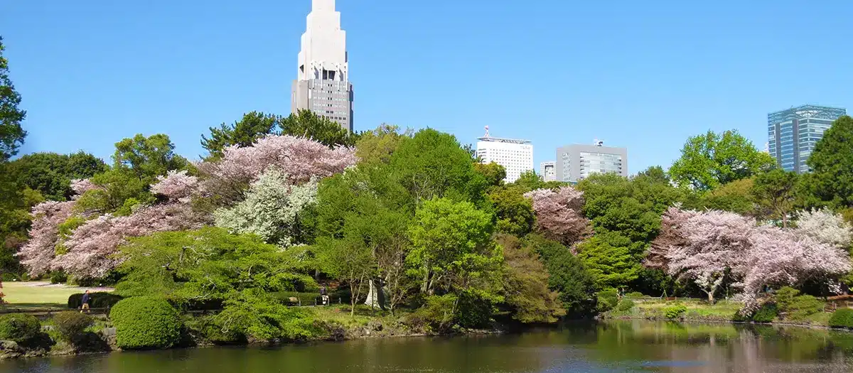Shinjuku Gyoen National Garden travel guide | The Official Tokyo ...