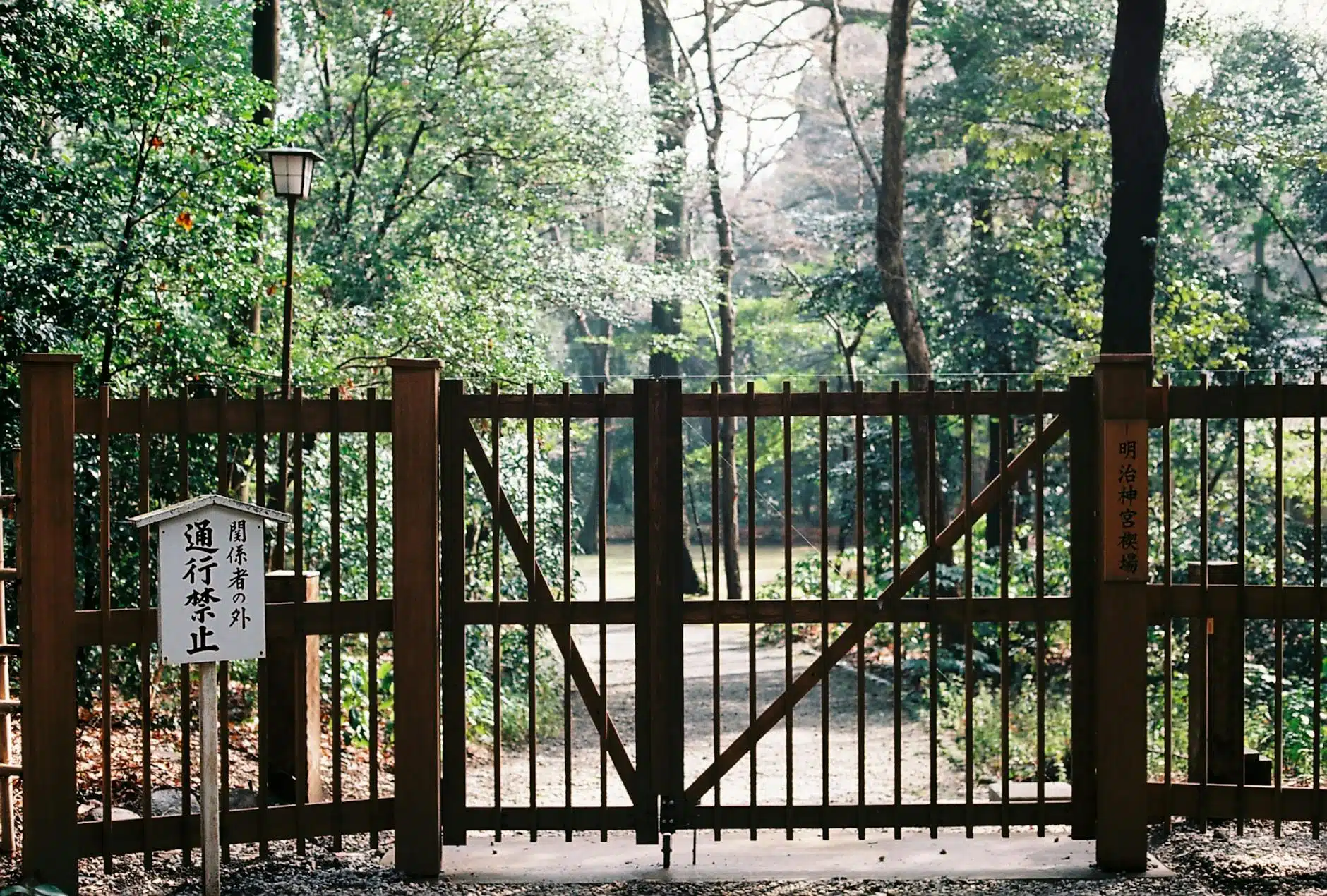 南參道與北參道：入口選擇與碎石路淨化