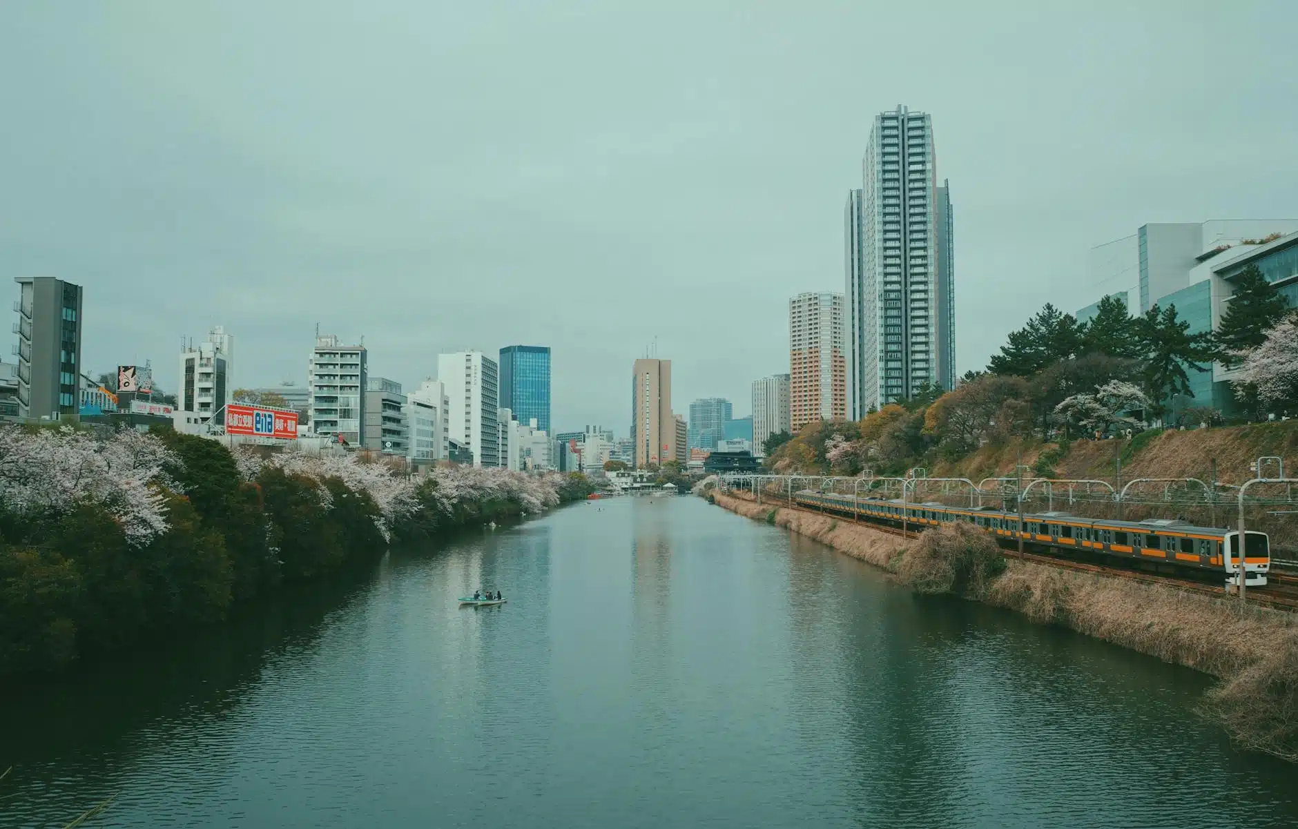 目黑川櫻花隧道