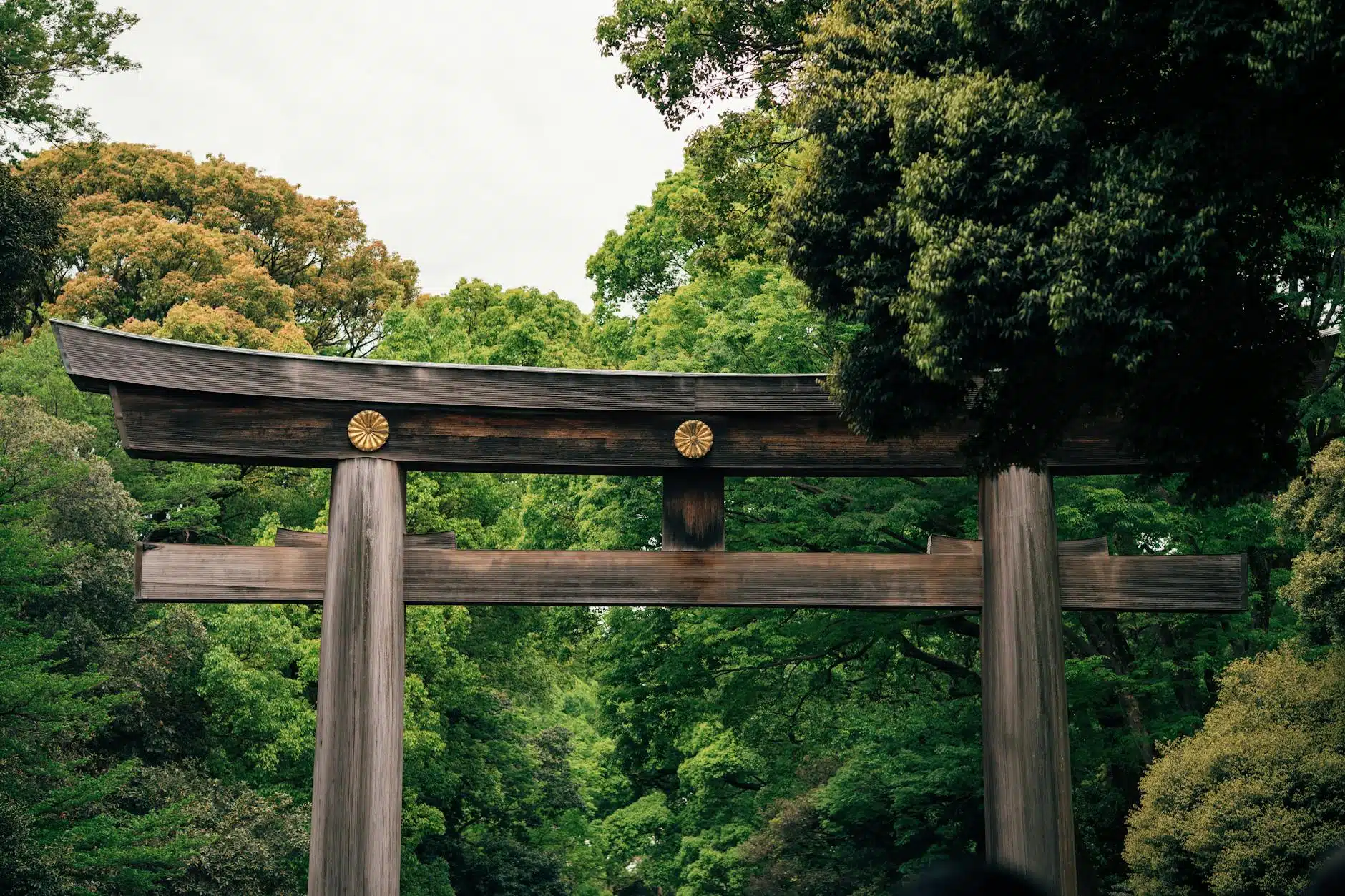 巨型鳥居：日本最大的木製明神鳥居
