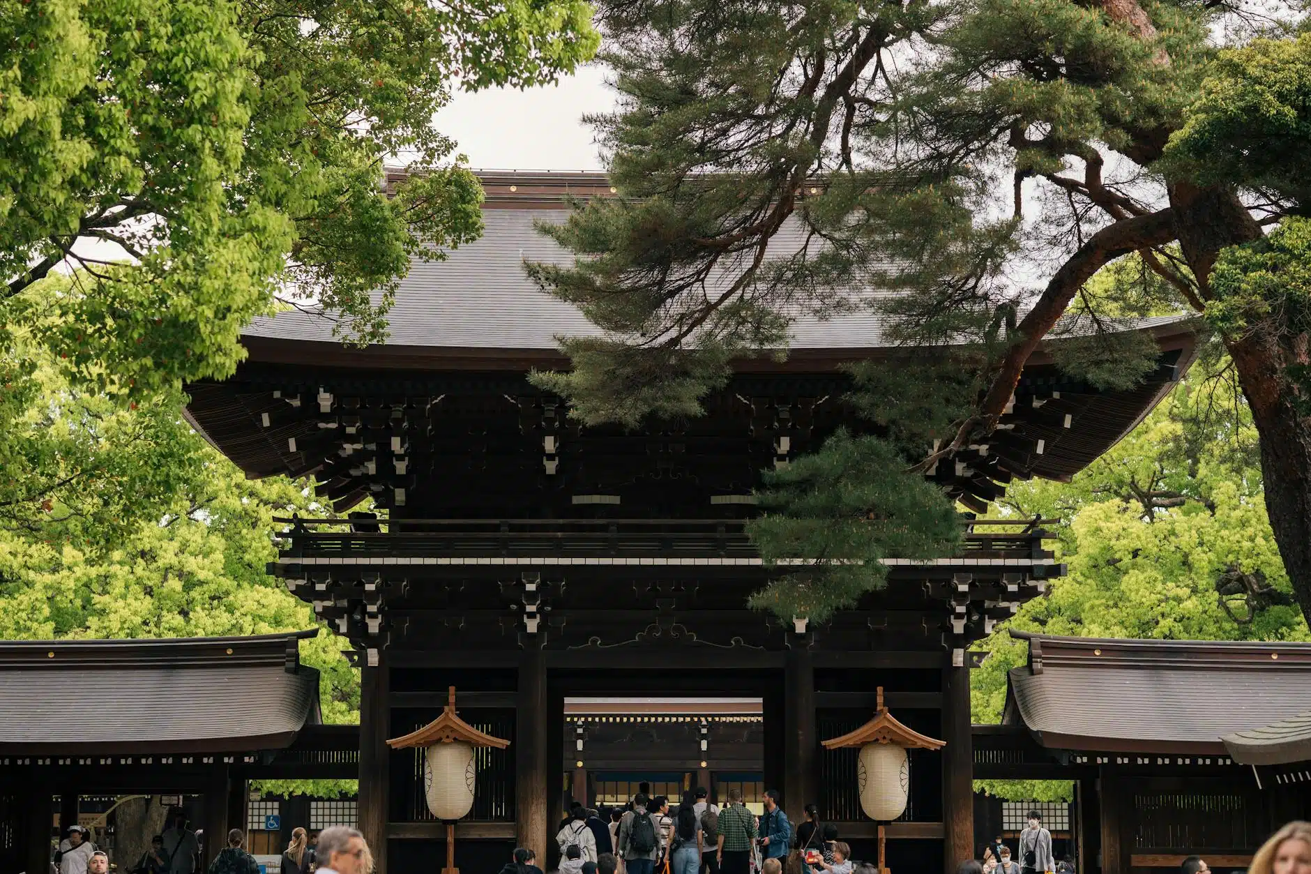 新年參拜（初詣）：日本國民的年度盛事