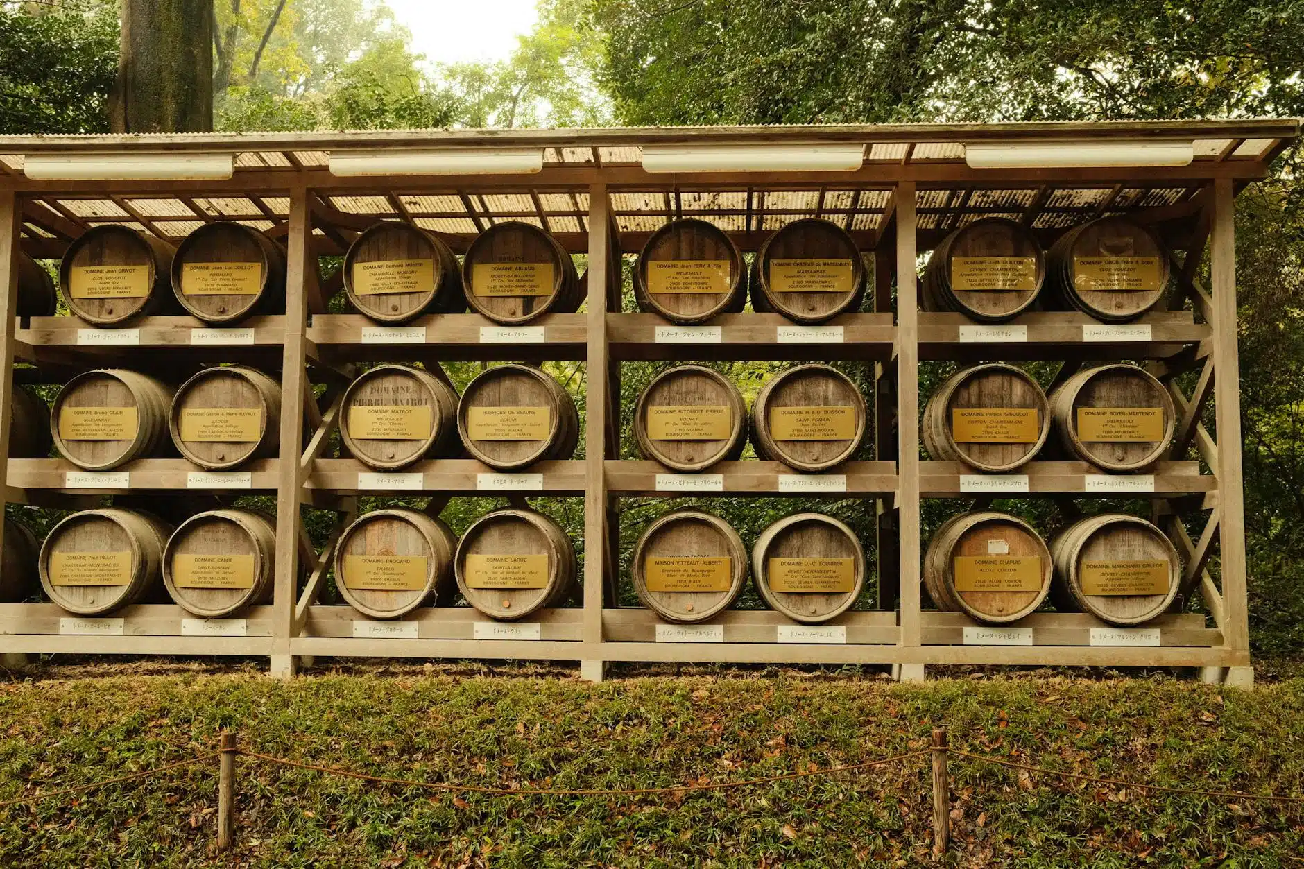 Wooden sake barrels on display in a Tokyo park, capturing a blend of Japanese tradition and nature.