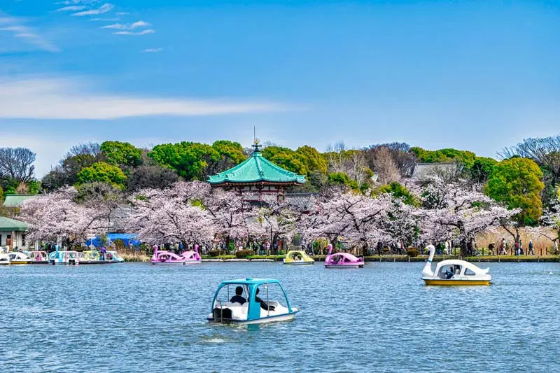 上野恩賜公園