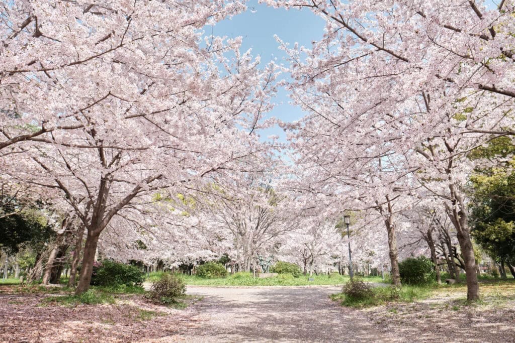 大阪城公園