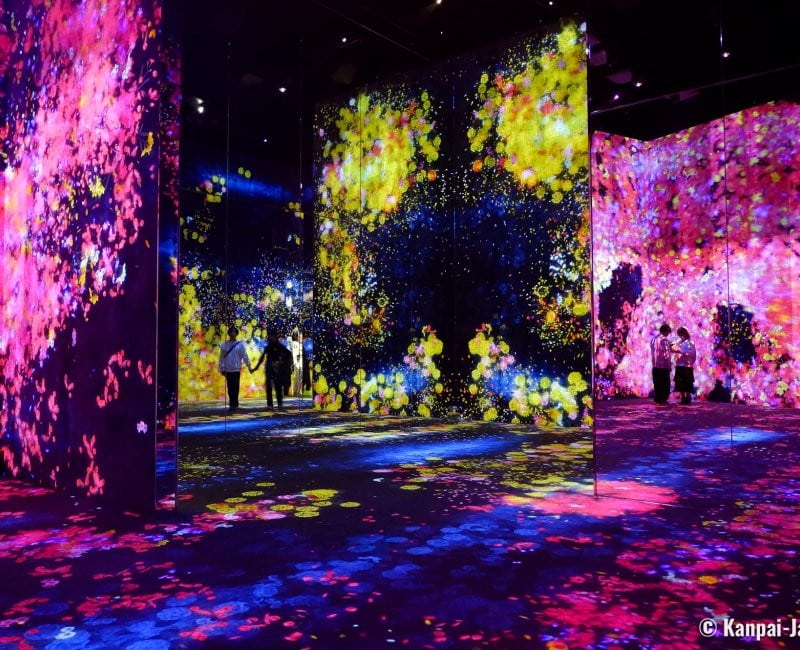 teamLab Borderless展覽