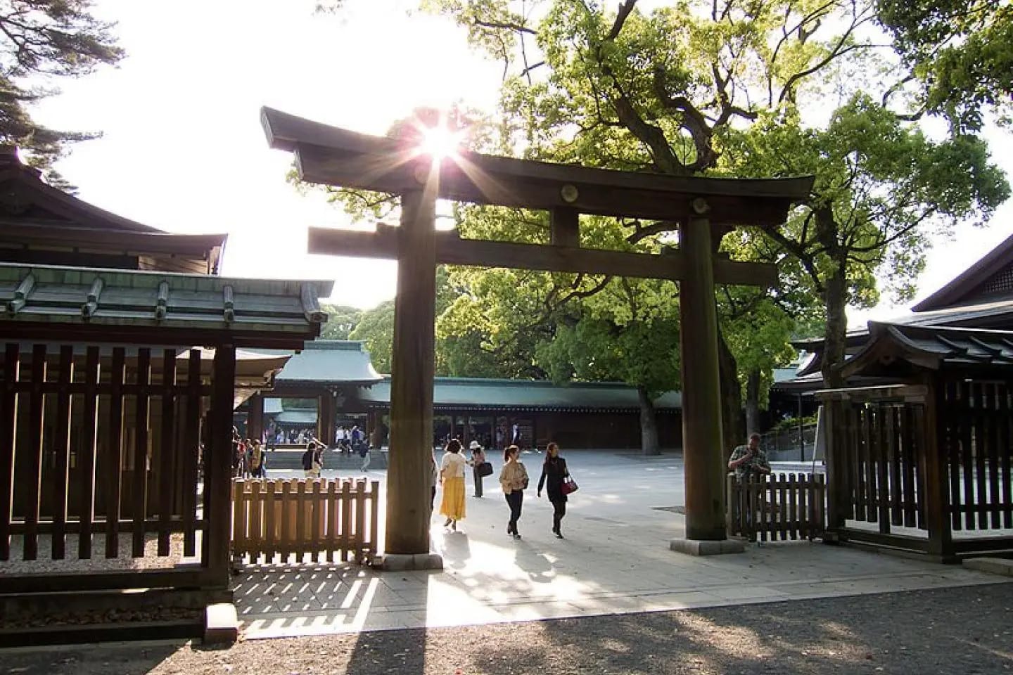 巨型鳥居:日本最大的木製明神鳥居