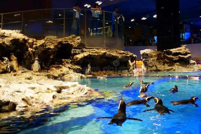 墨田水族館