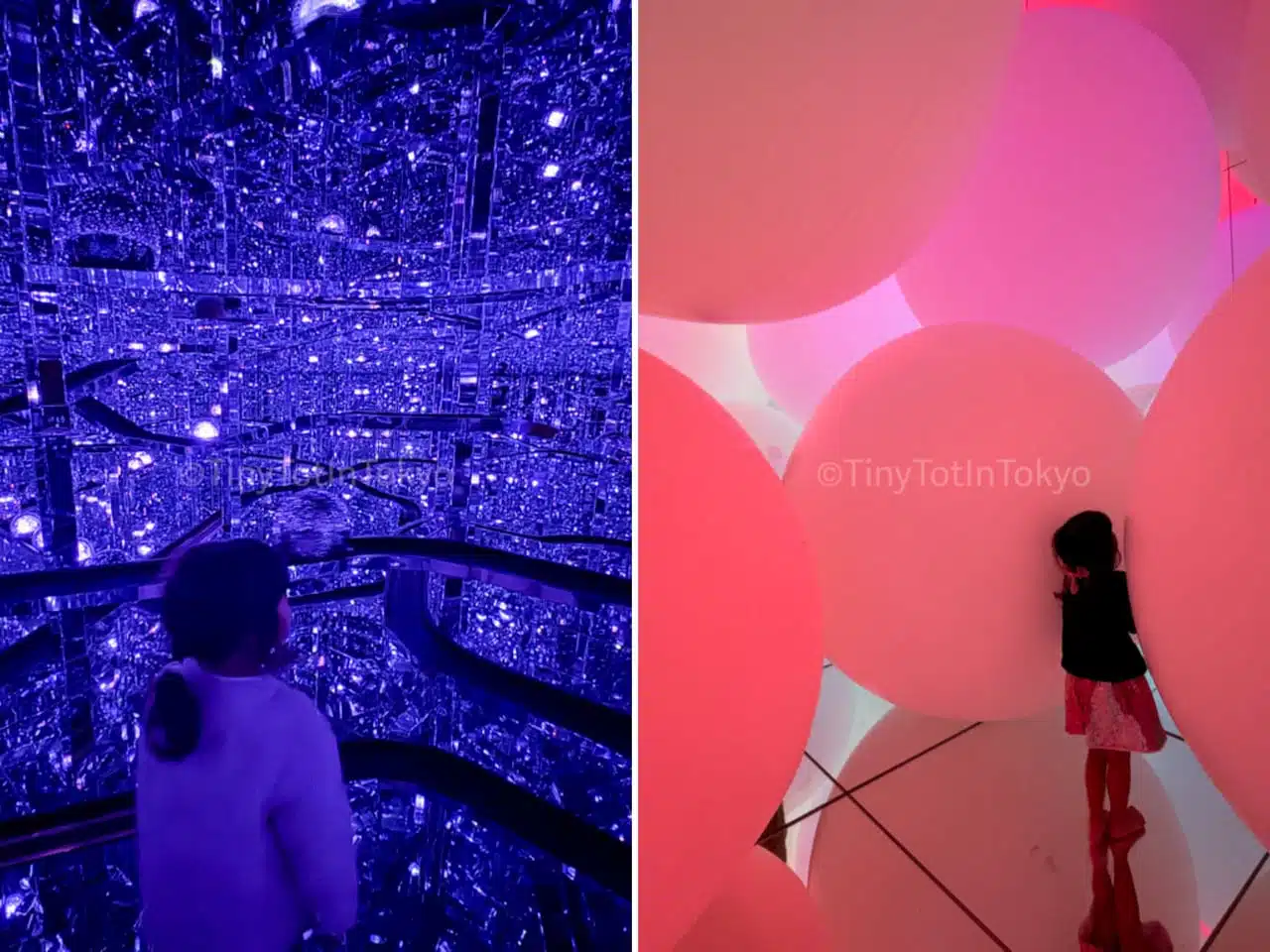 teamLab Borderless vs Planets Review — Which is Better ...