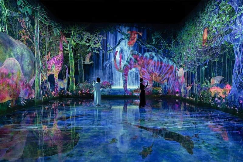 2026年最新展區與延長展期
