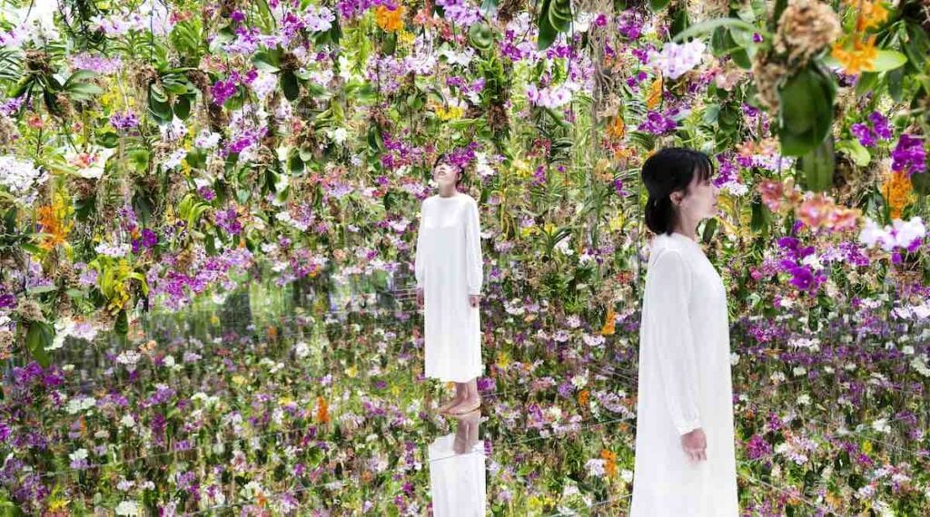 花園:漂浮的花園