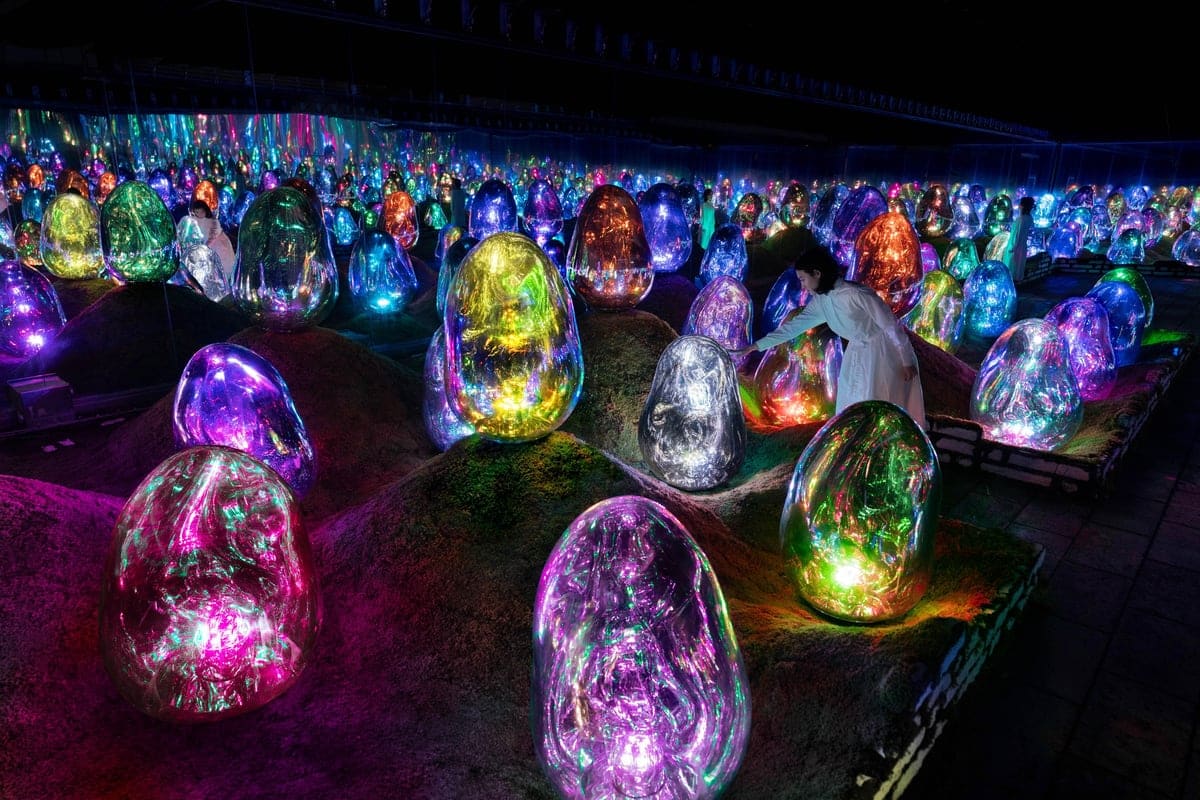 花園:苔蘚庭園中呼應的小宇宙群