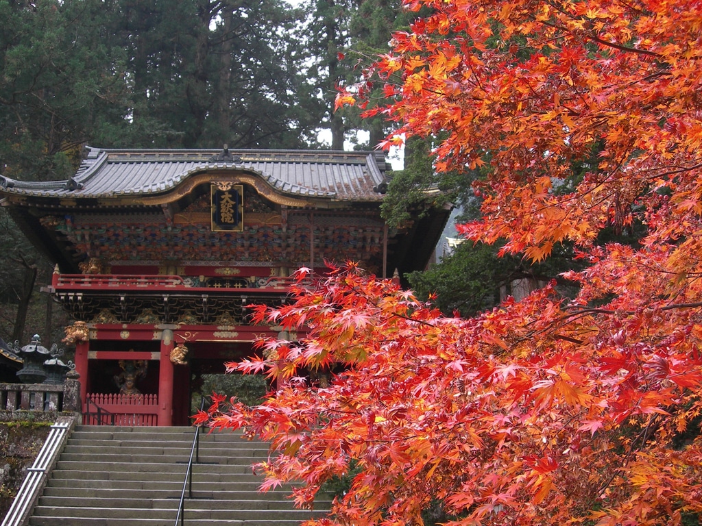 必訪體驗:日光東照宮與輪王寺