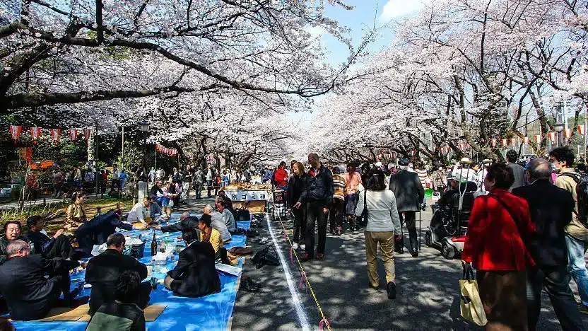 注意開放時間與休館日