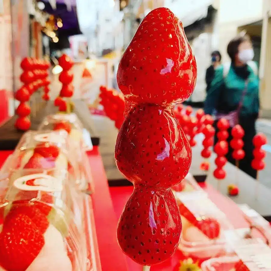 築地そらつき 淡雪草莓