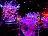 ART AQUARIUM MUSEUM