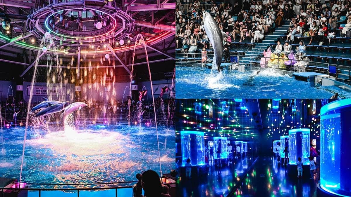 親子必訪：Maxell Aqua Park品川水族館