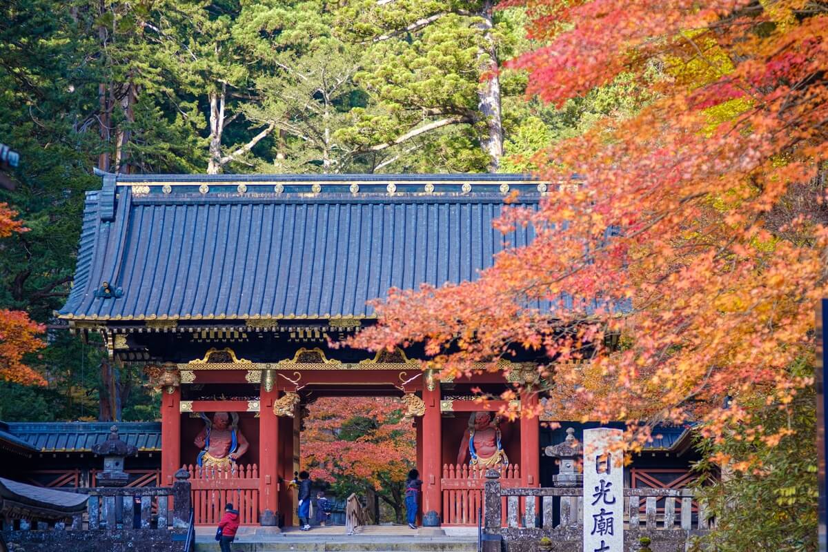 Autumn Foliage! Nikko History and Recommended Spots