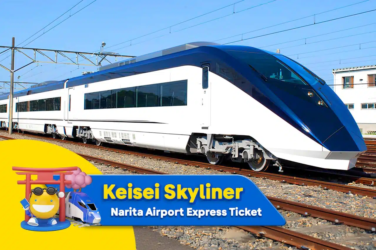 為什麼選擇 Skyliner？