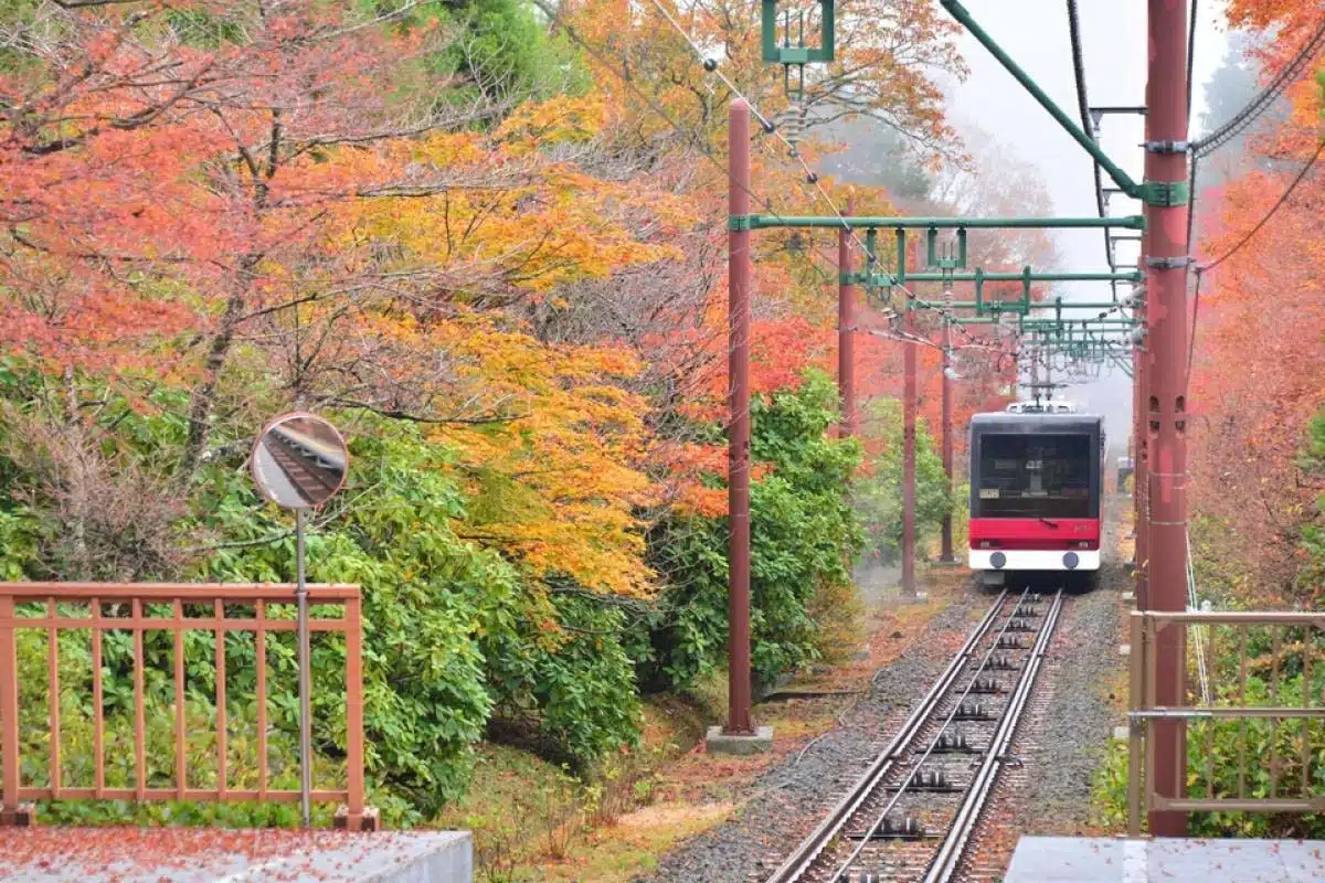 箱根登山纜車：直達早雲山
