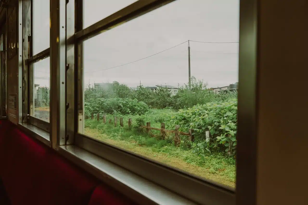 搭乘N'EX的獨家體驗