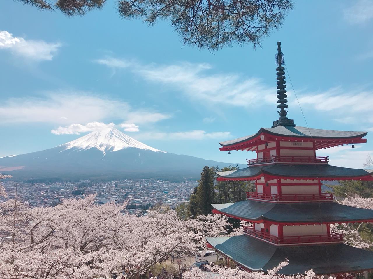 富士山溶岩燒:甲州ほうとう 小作 河口湖店