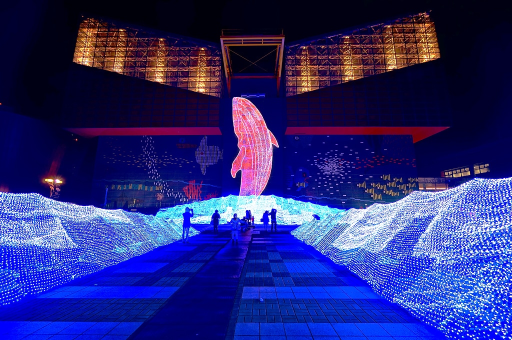 夜間海遊館