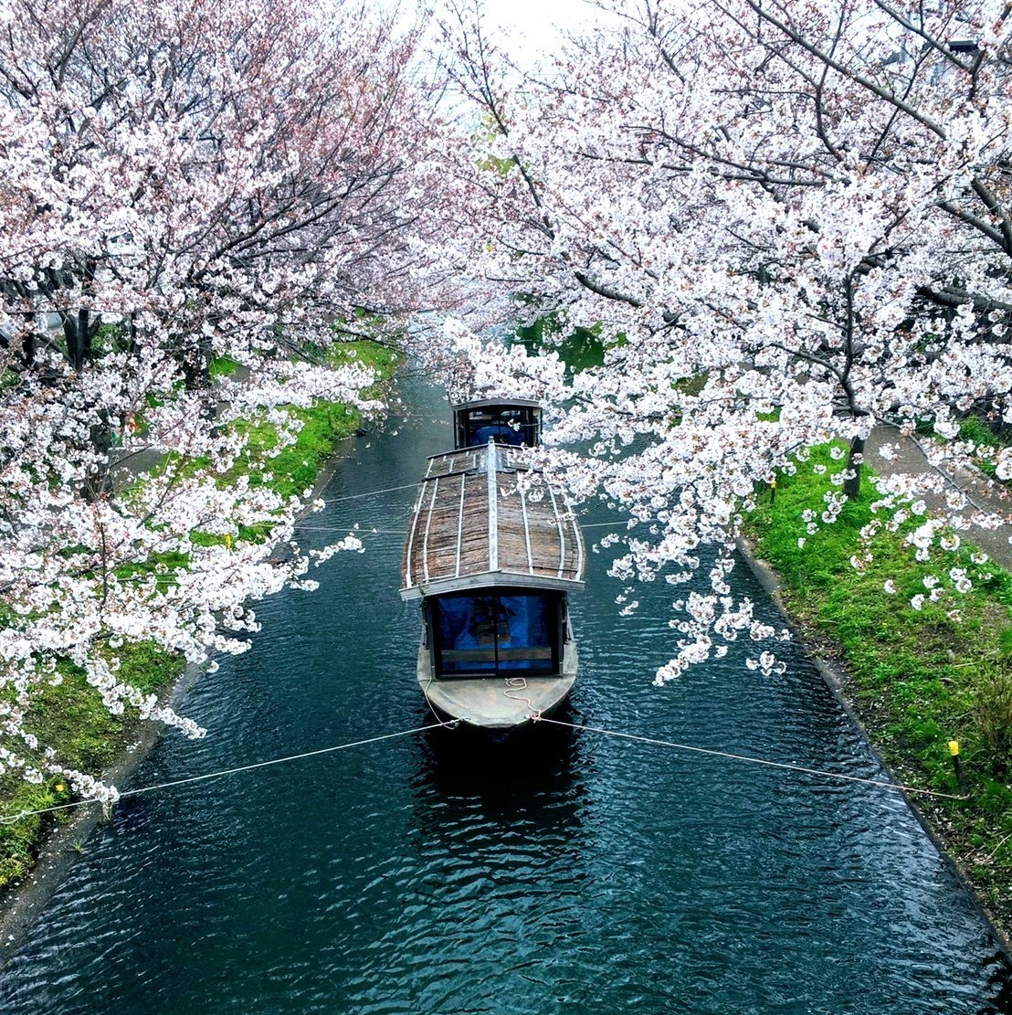 伏見十石舟