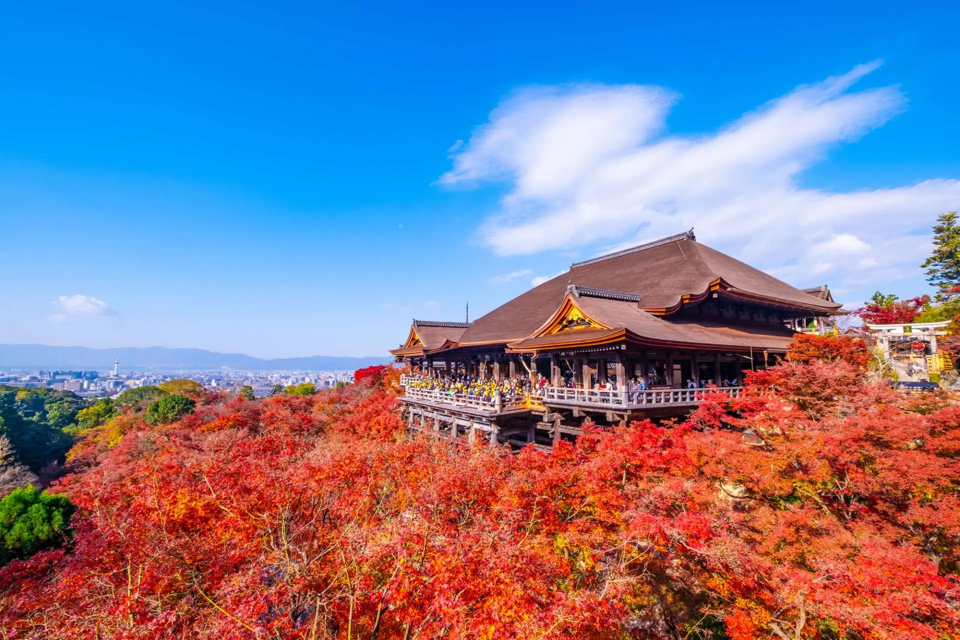 安國寺