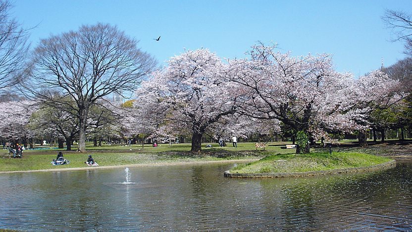 代代木公園