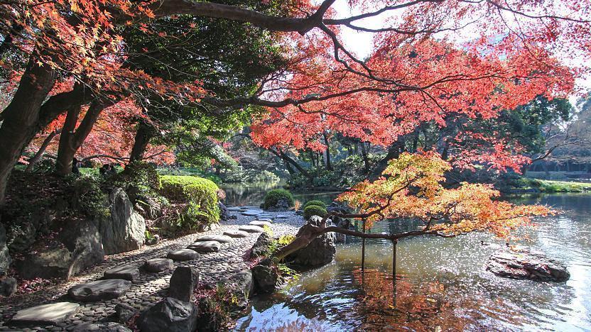 小石川後樂園