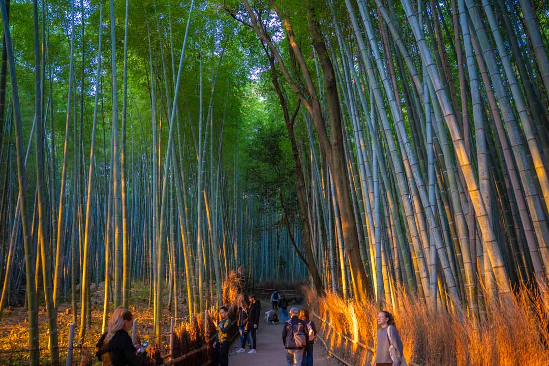 嵐山日落觀賞:嵐山公園