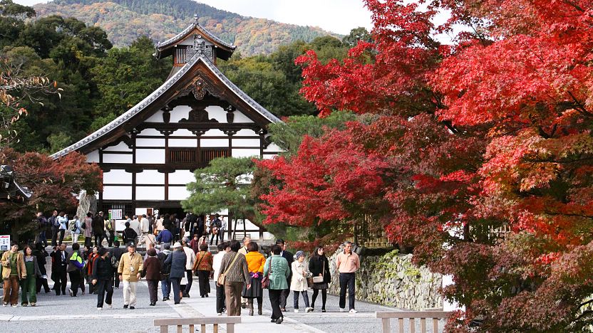 嵐山竹林