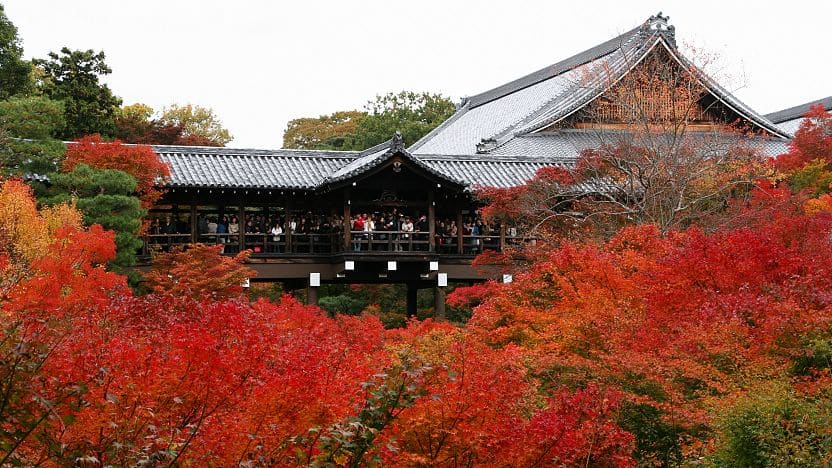 東福寺的歷史與地位