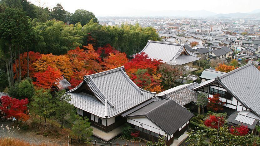 枯山水的種類與代表庭園