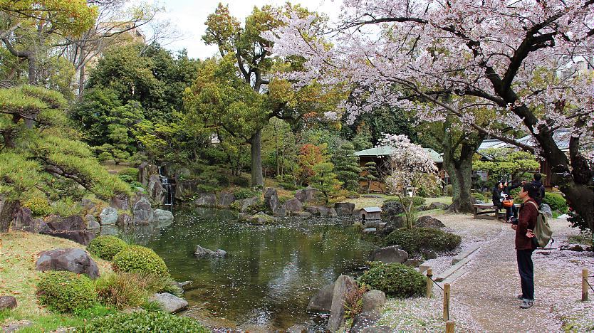 本坊庭園門票