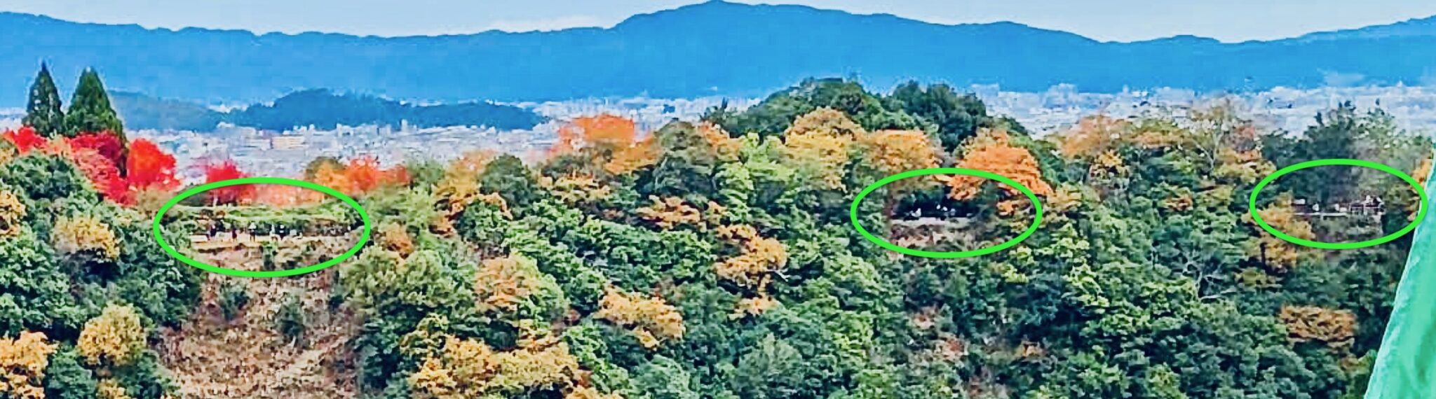 松籟庵